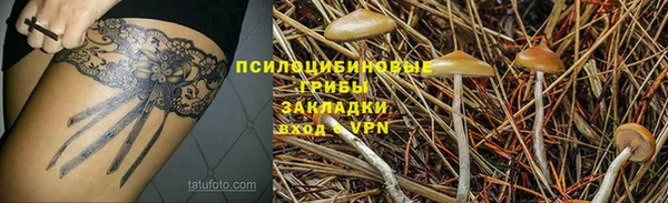 тгк Баксан