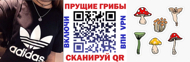 Галлюциногенные грибы Psilocybe Удачный